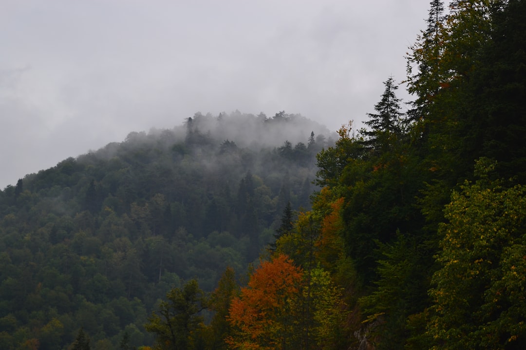 Exploring Zonguldak: Adventures, Sights & Unforgettable Moments
