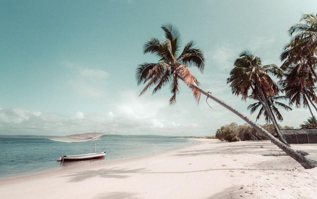 Top eSIM Options for Mozambique in 2026: Full Breakdown & Recommendations