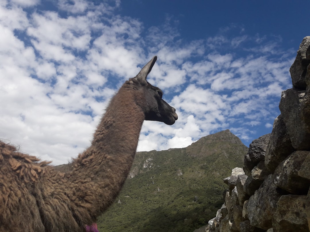 eSIM for Peru 2026: Which Provider Is Actually Worth It?