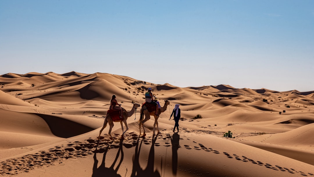 Best eSIM Cards for Morocco 2026: Compare Plans, Save on Roaming