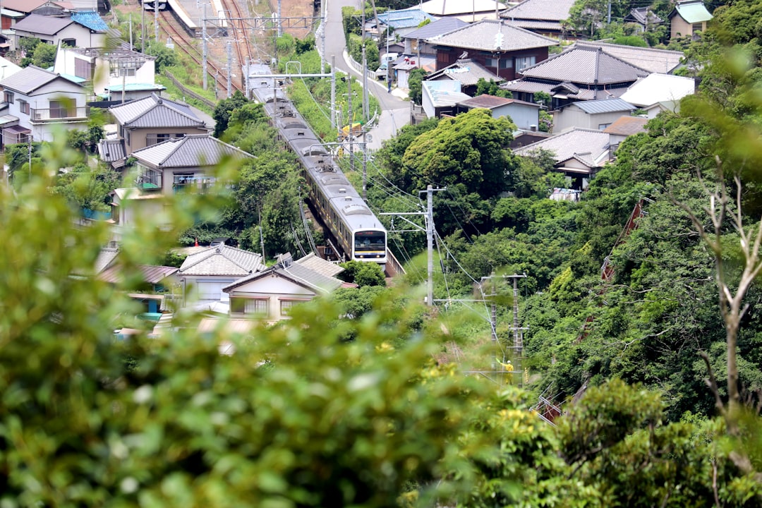 Toyama Beyond the Tourist Trail: A Local's Perspective