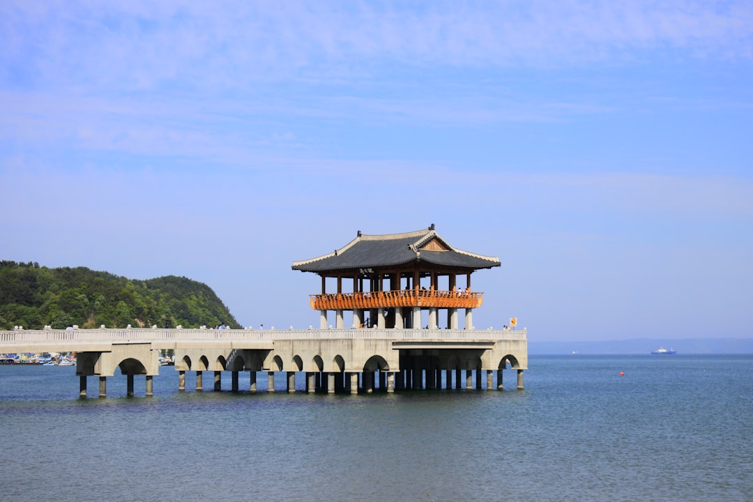Exploring Pohang: Adventures, Sights & Unforgettable Moments