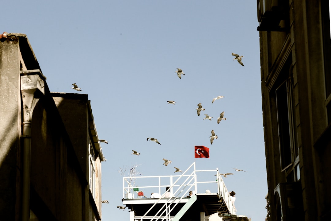 A Perfect 3-Day Itinerary for Adana - What to See & Do