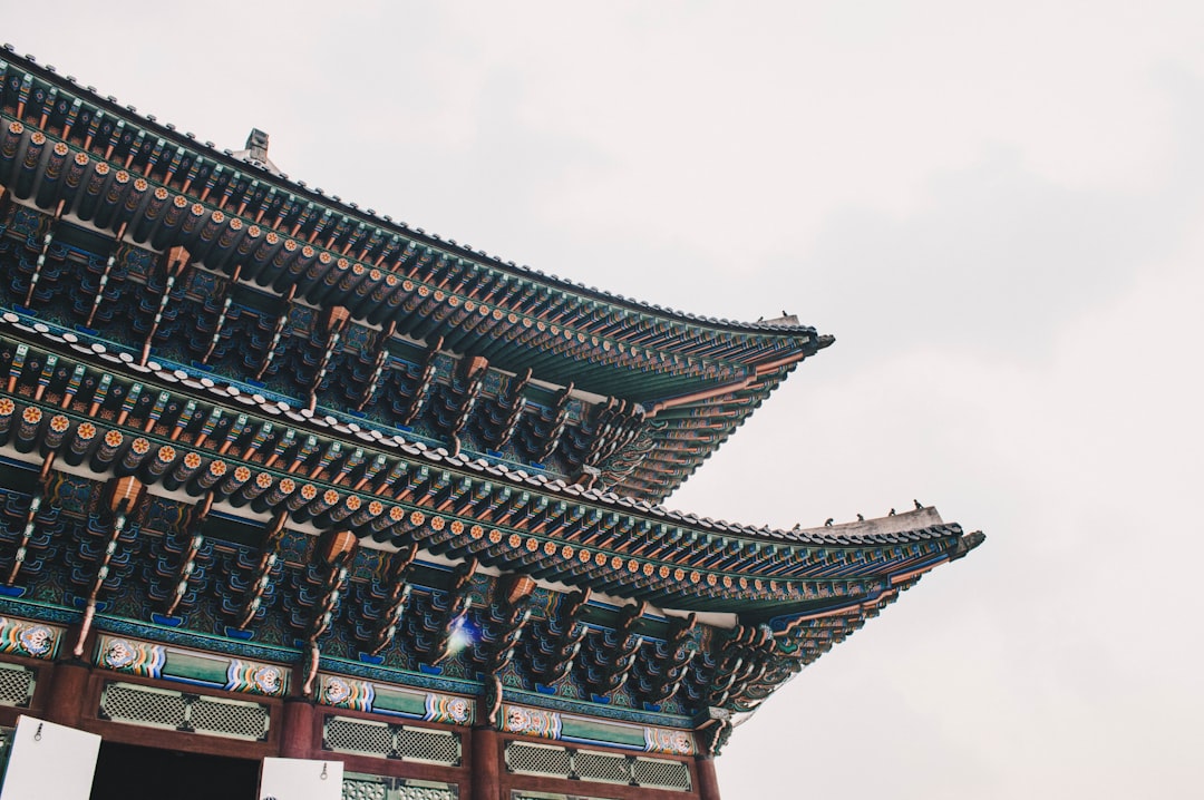Exploring Chungju: Adventures, Sights & Unforgettable Moments