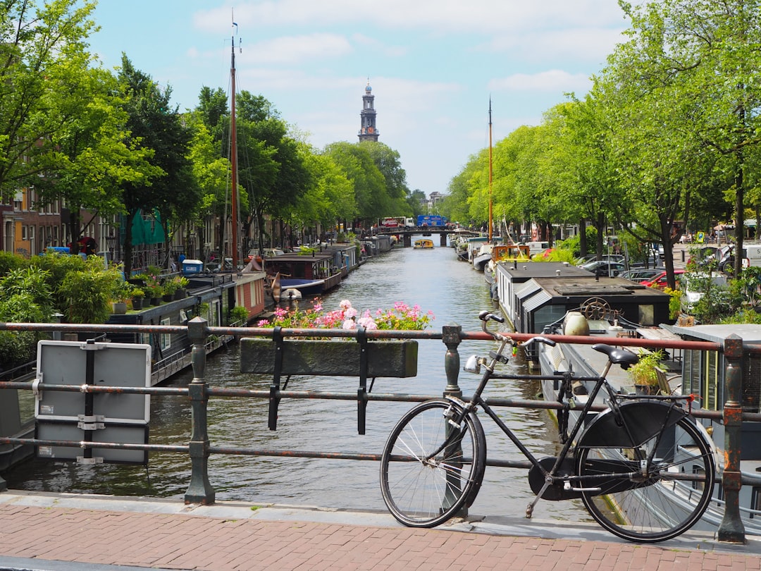 Top eSIM Options for Netherlands in 2026: Full Breakdown & Recommendations