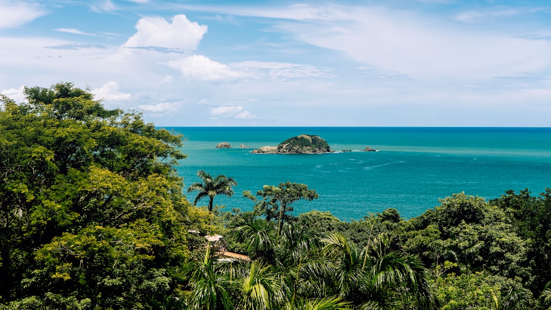 Palmares in 2026: What's New & What to Experience