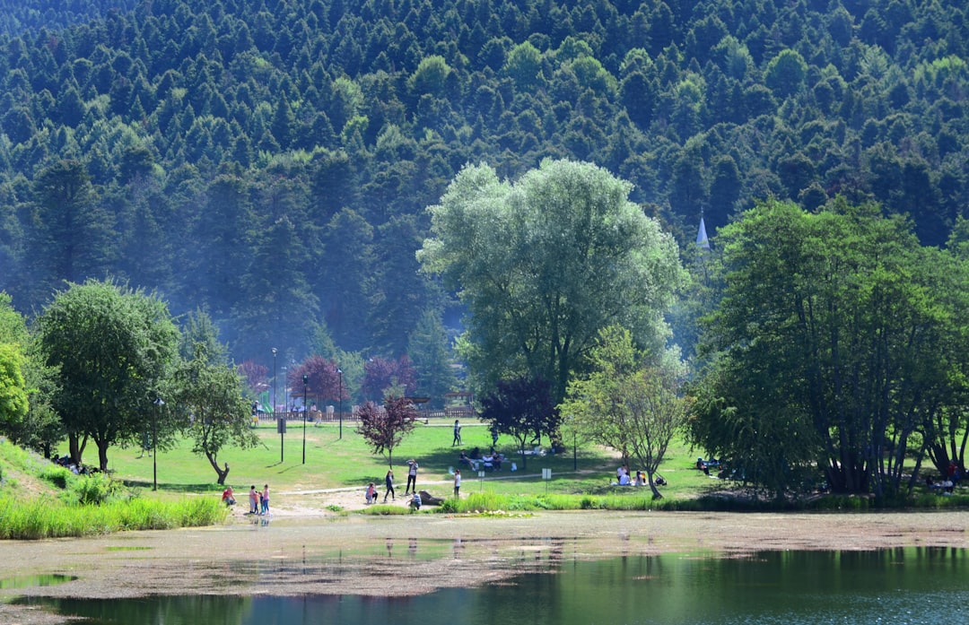 Bolu Beyond the Tourist Trail: A Local's Perspective