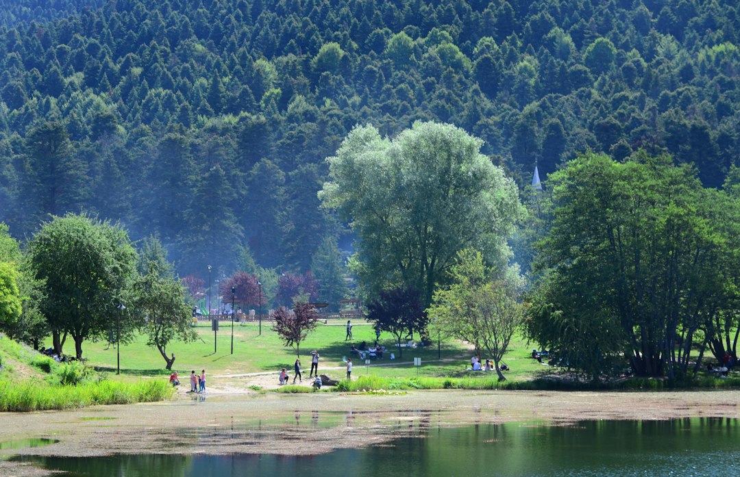Bolu in 2026: What's New & What to Experience