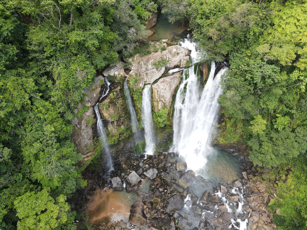 Parrita in 2026: What's New & What to Experience