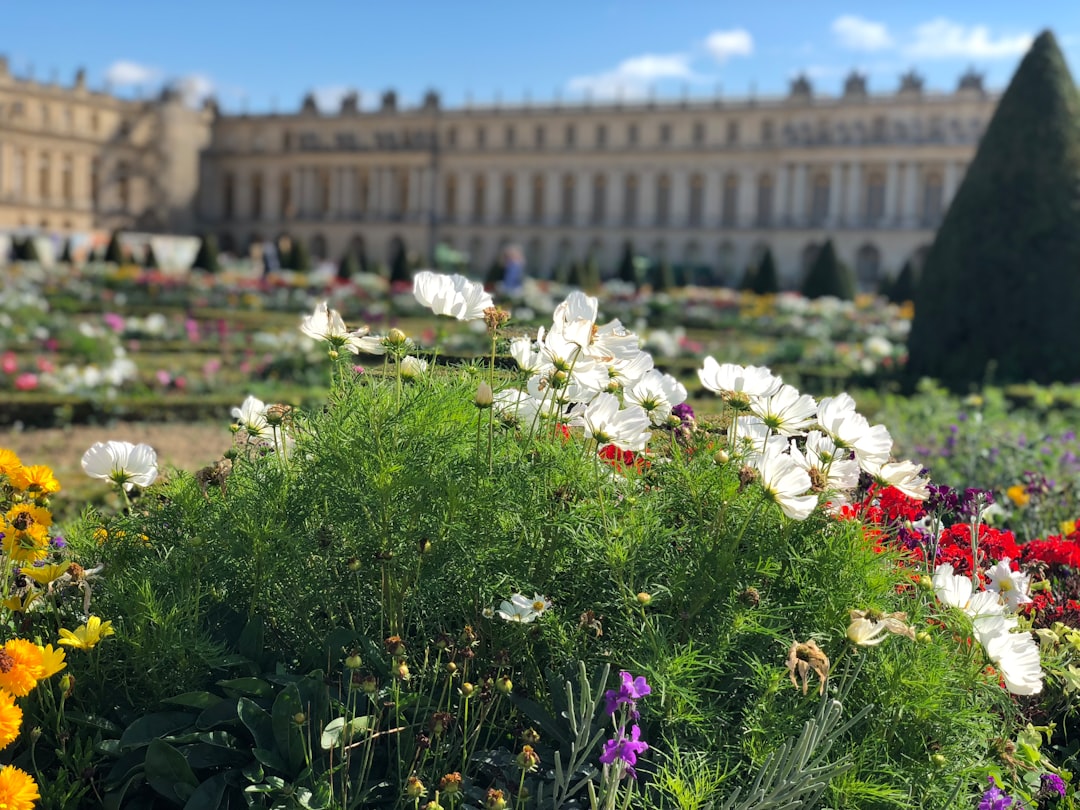 First Time in Versailles? Here's Everything You Need to Know