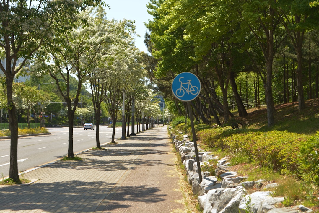 Ansan Beyond the Tourist Trail: A Local's Perspective
