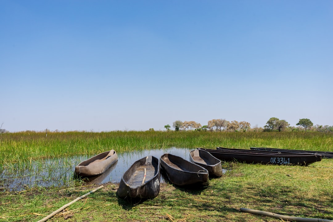 Botswana eSIM Guide 2026: Top Providers, Costs & How to Activate