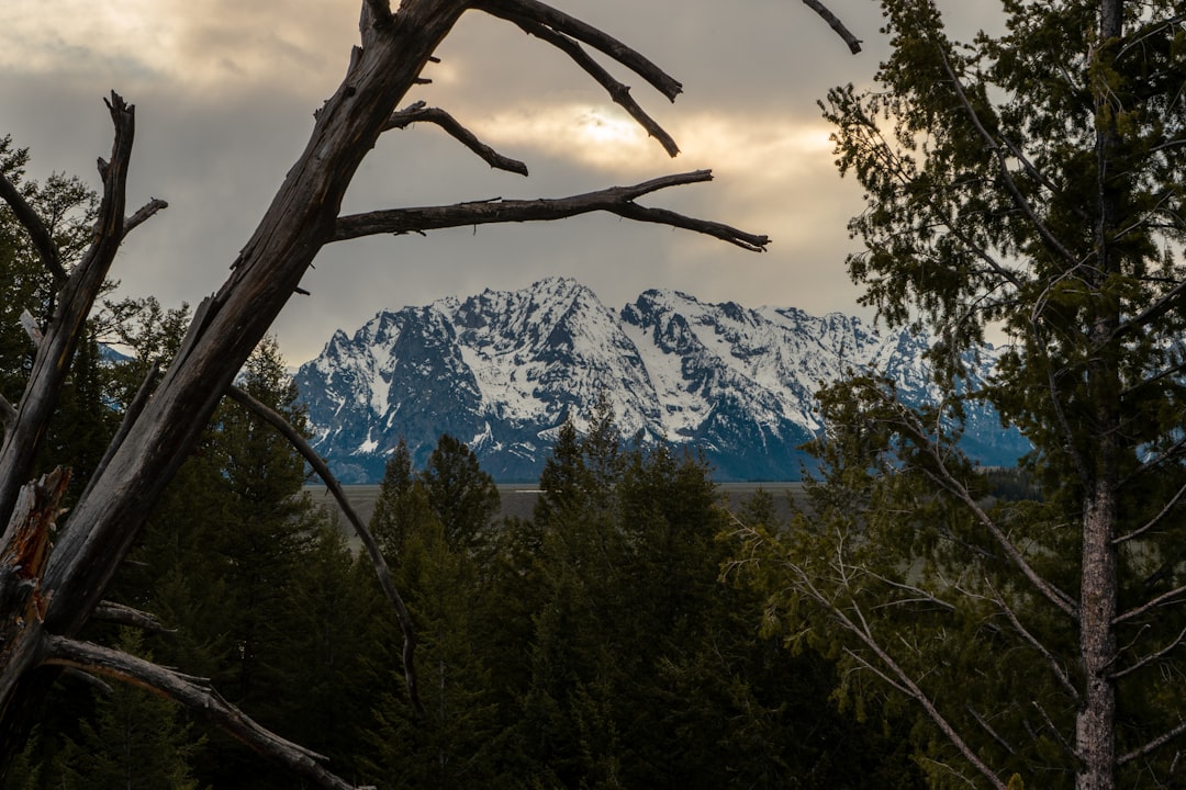 Boise Beyond the Tourist Trail: A Local's Perspective