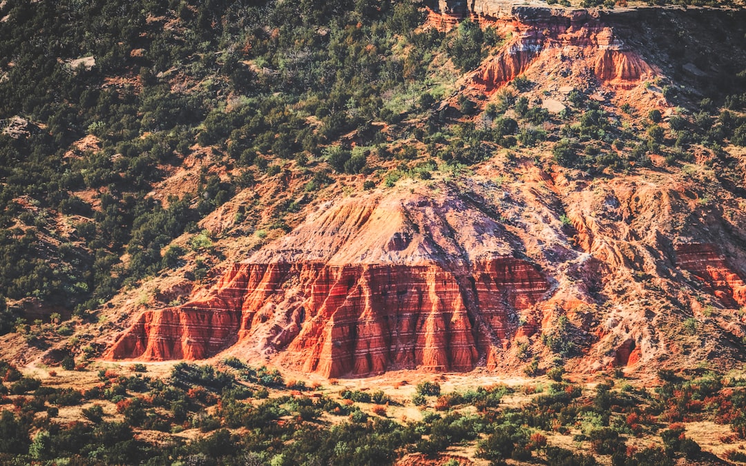 Why Mesquite Should Be Your Next Travel Destination