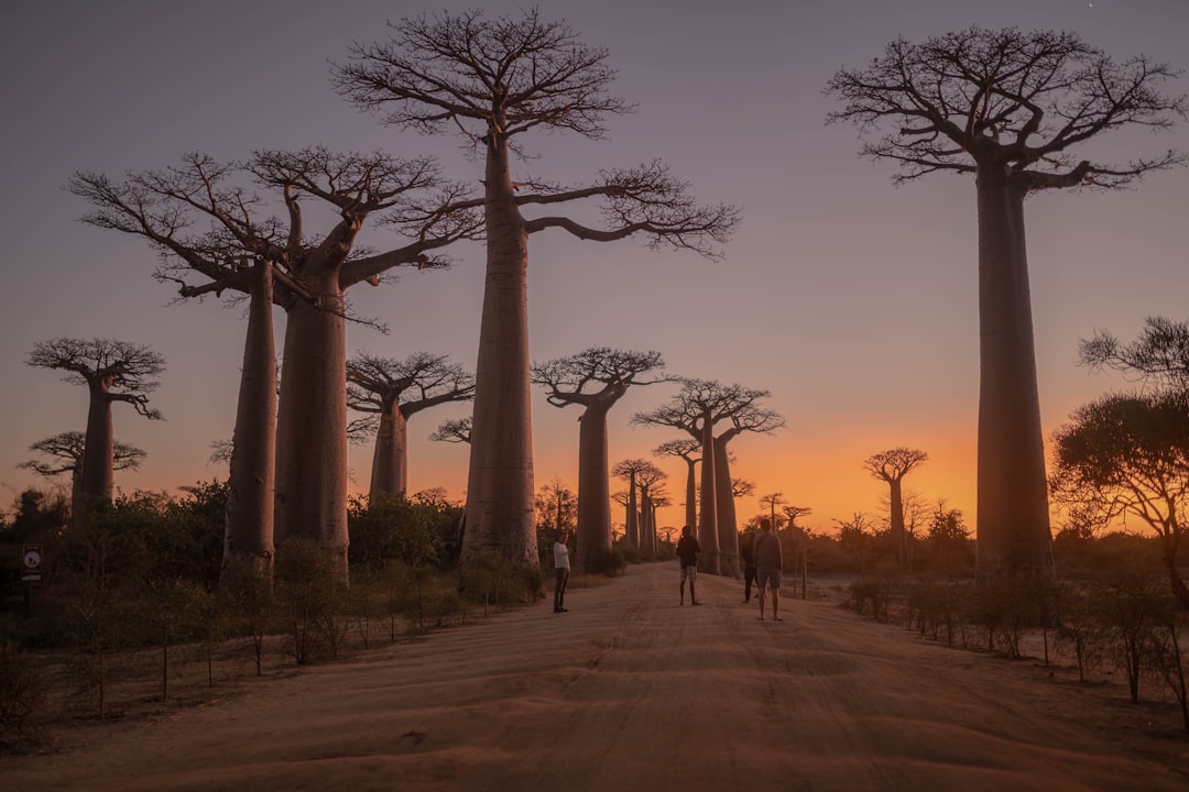 Best eSIM Network in Madagascar (2026)