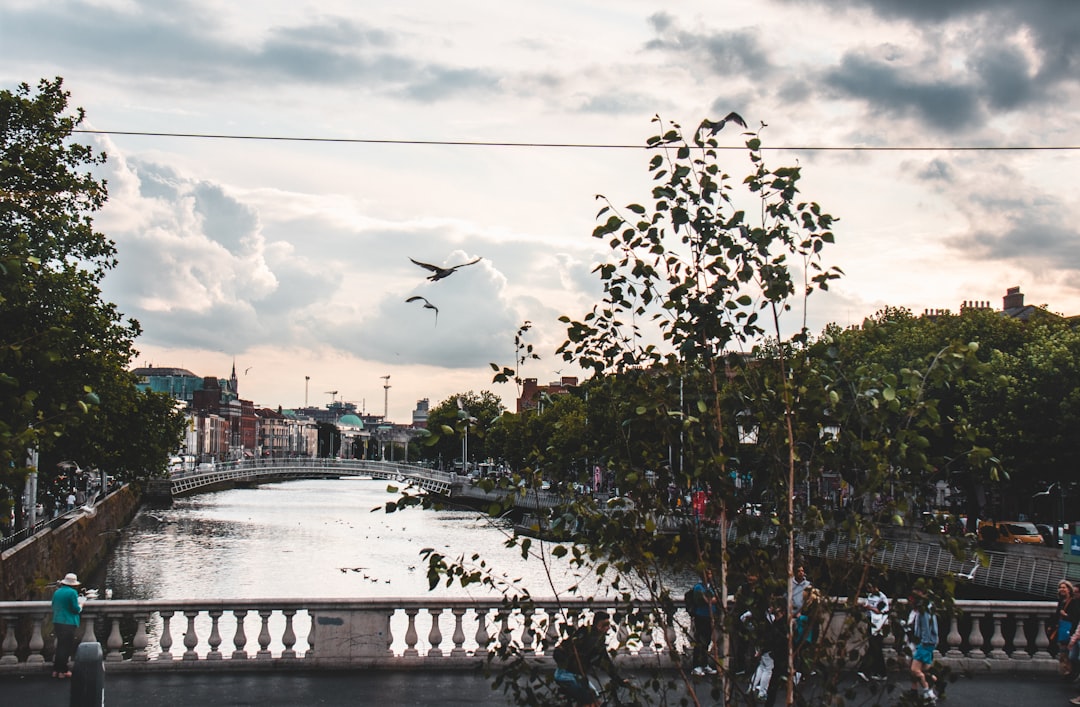 Kilkenny in 2026: What's New & What to Experience