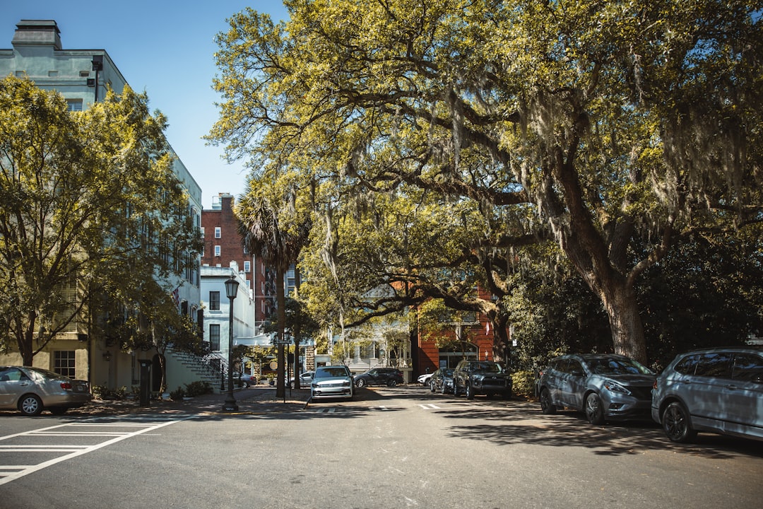 Your Complete Savannah Travel Checklist (2026 Edition)