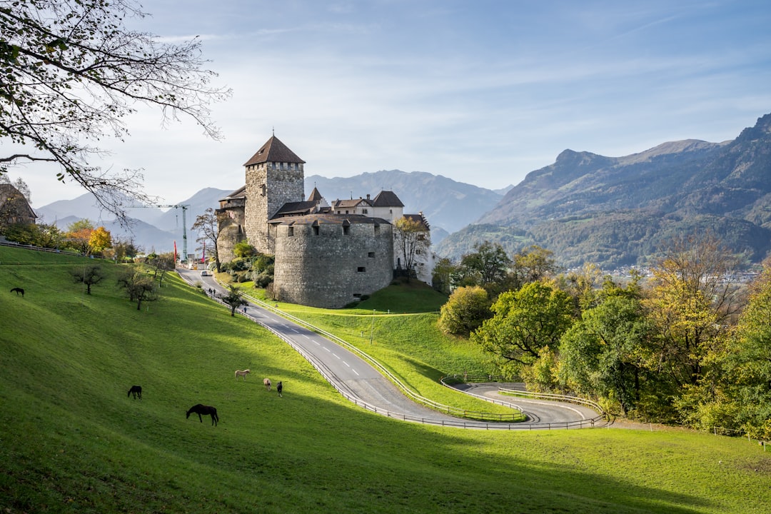 Bestes Mobilfunknetz Liechtenstein 2026: Netzabdeckung & Geschwindigkeit