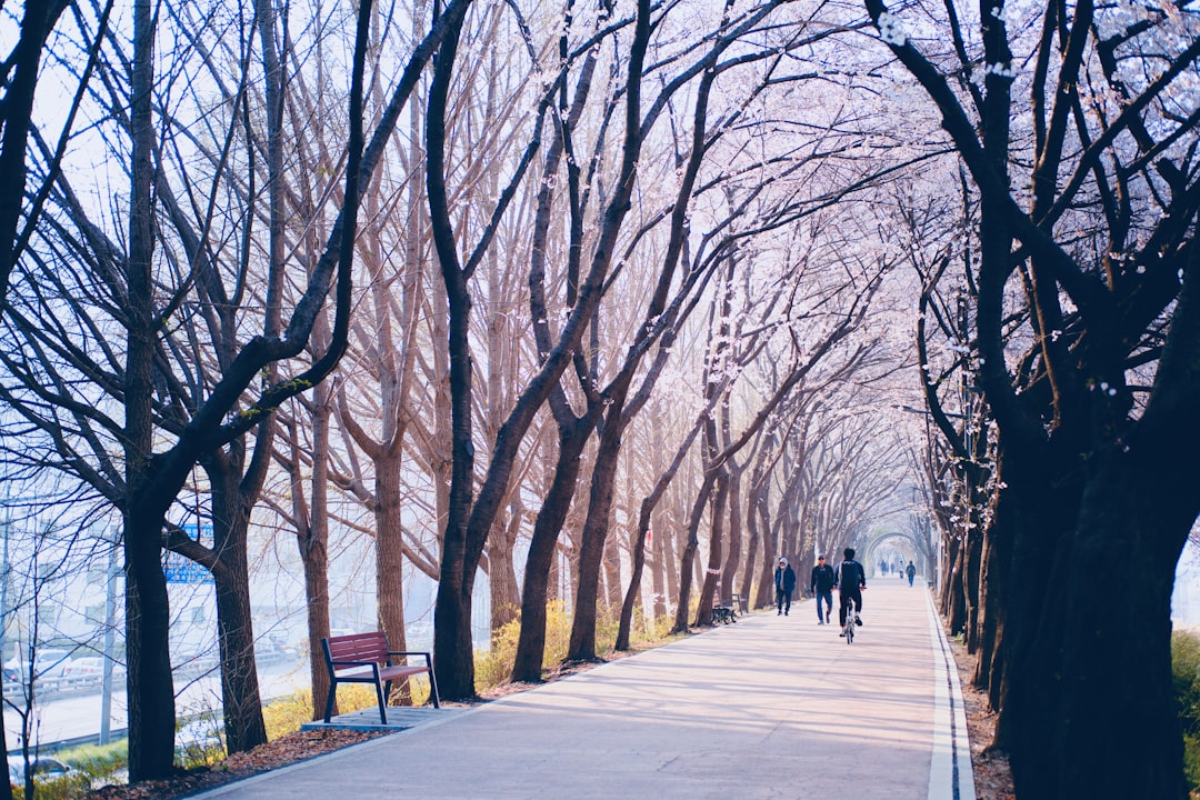 First Time in Gwangmyeong? Here's Everything You Need to Know