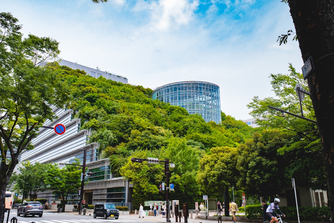 Exploring Fukuoka: Adventures, Sights & Unforgettable Moments