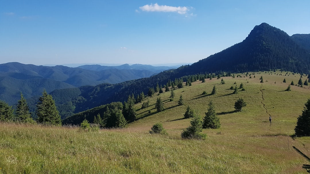 eSIM for Slovakia 2026: Which Provider Is Actually Worth It?