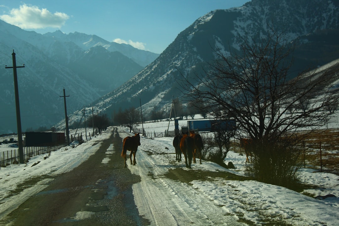 Top eSIM Options for Kyrgyzstan in 2026: Full Breakdown & Recommendations