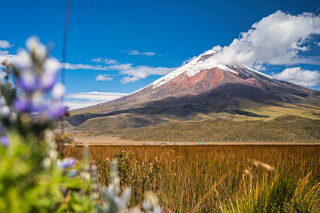 Ecuador eSIM Guide 2026: Top Providers, Costs & How to Activate