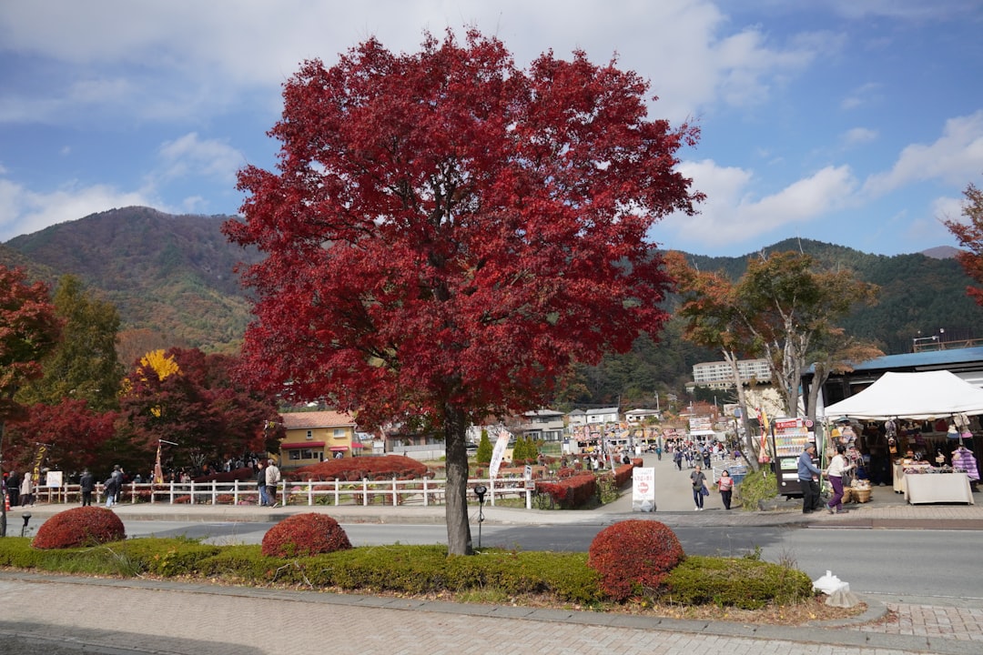 First Time in Nagano? Here's Everything You Need to Know