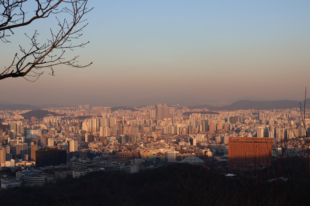 Exploring Goyang: Adventures, Sights & Unforgettable Moments