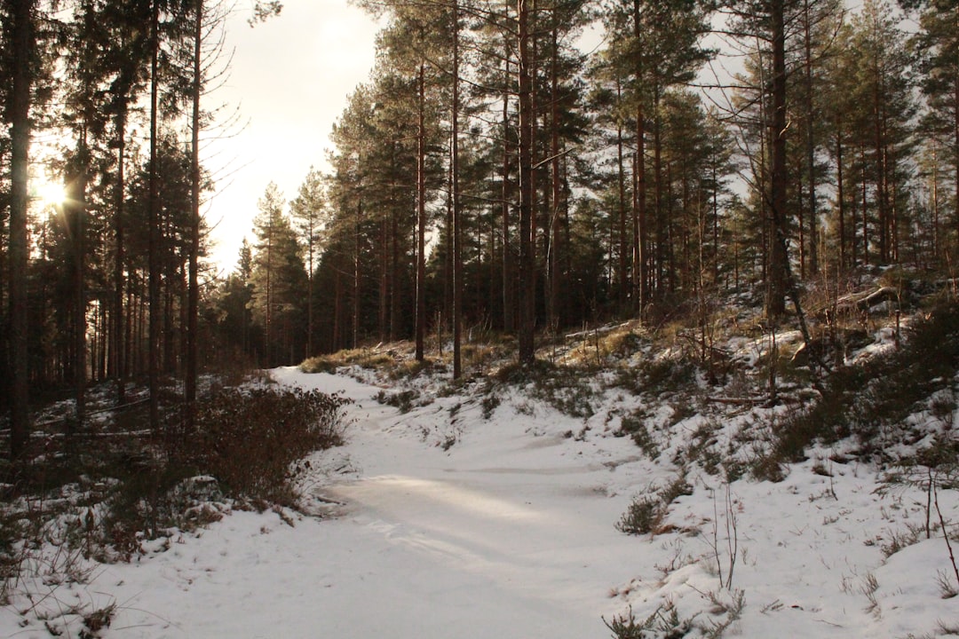 eSIM for Norway 2026: Which Provider Is Actually Worth It?