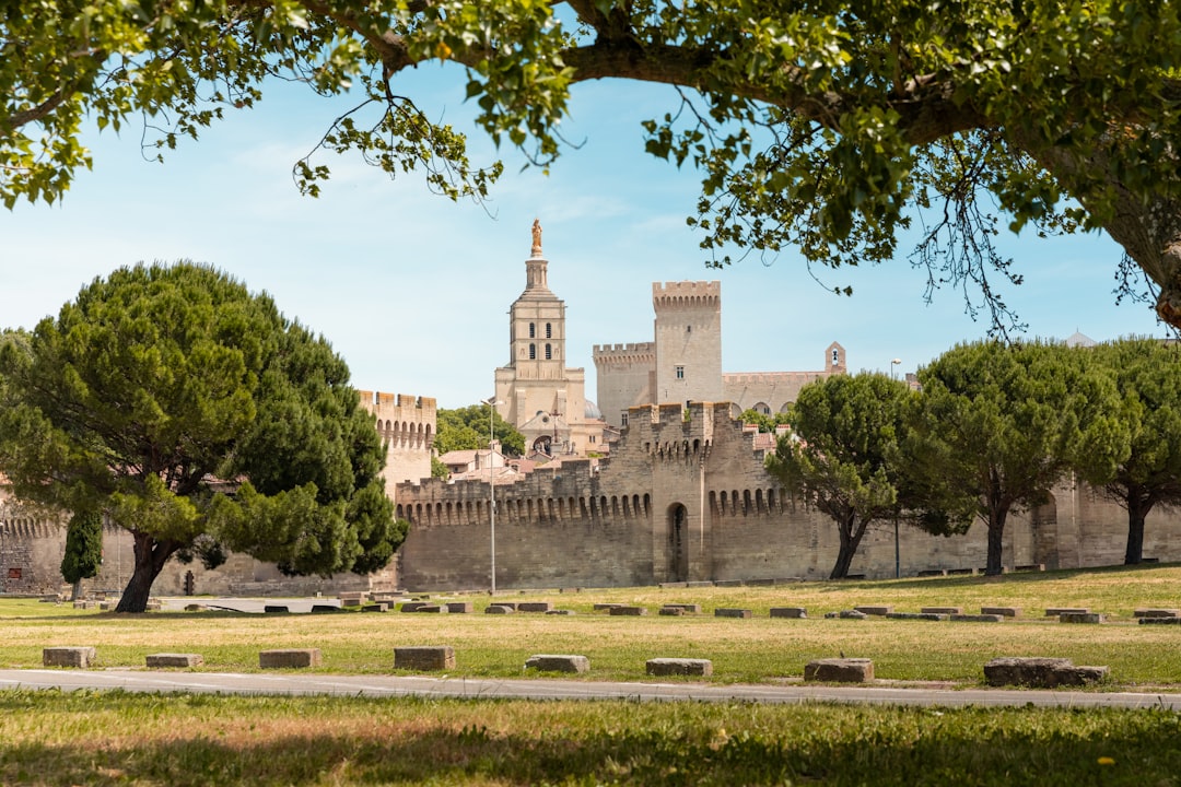 Avignon in 2026: What's New & What to Experience