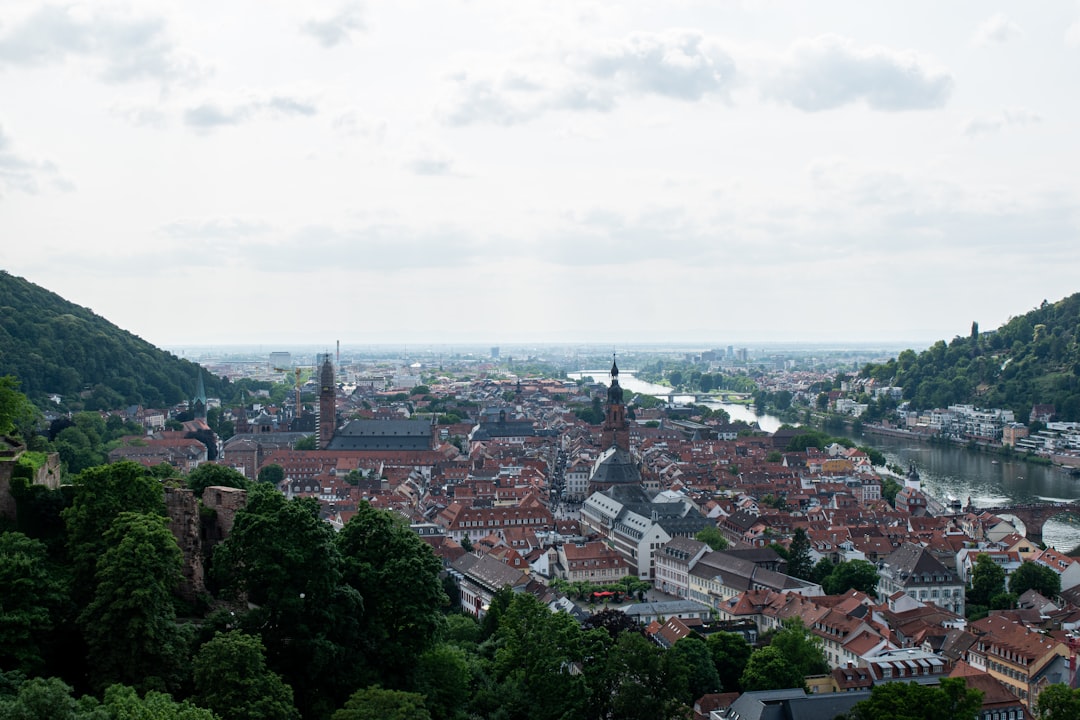 Heidelberg in 2026: What's New & What to Experience