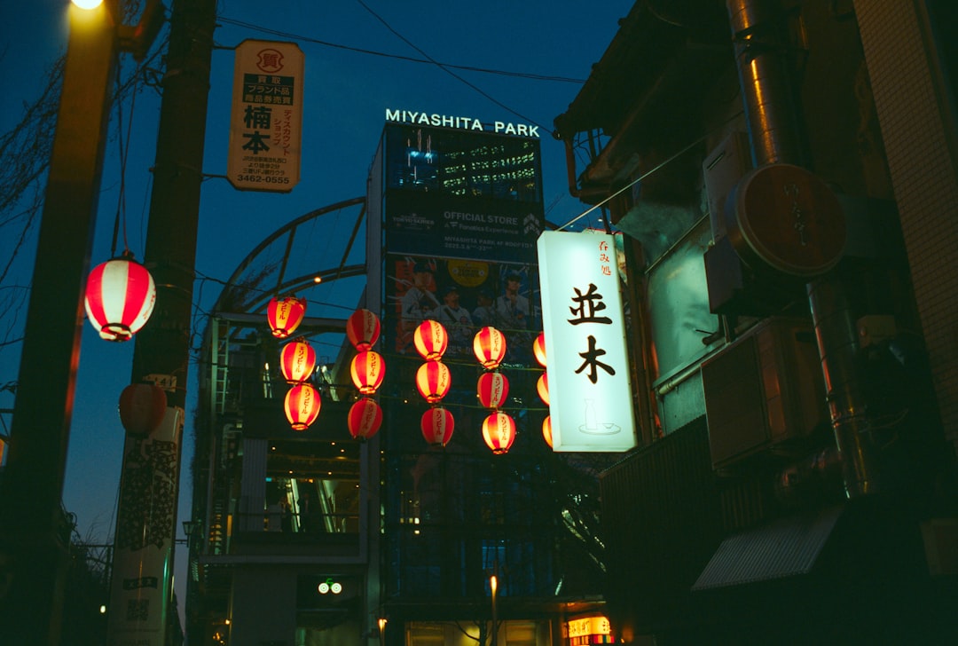 Exploring Miyazaki: Adventures, Sights & Unforgettable Moments