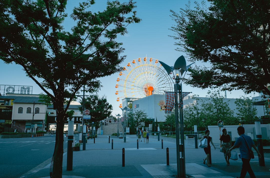 Hakodate in 2026: What's New & What to Experience