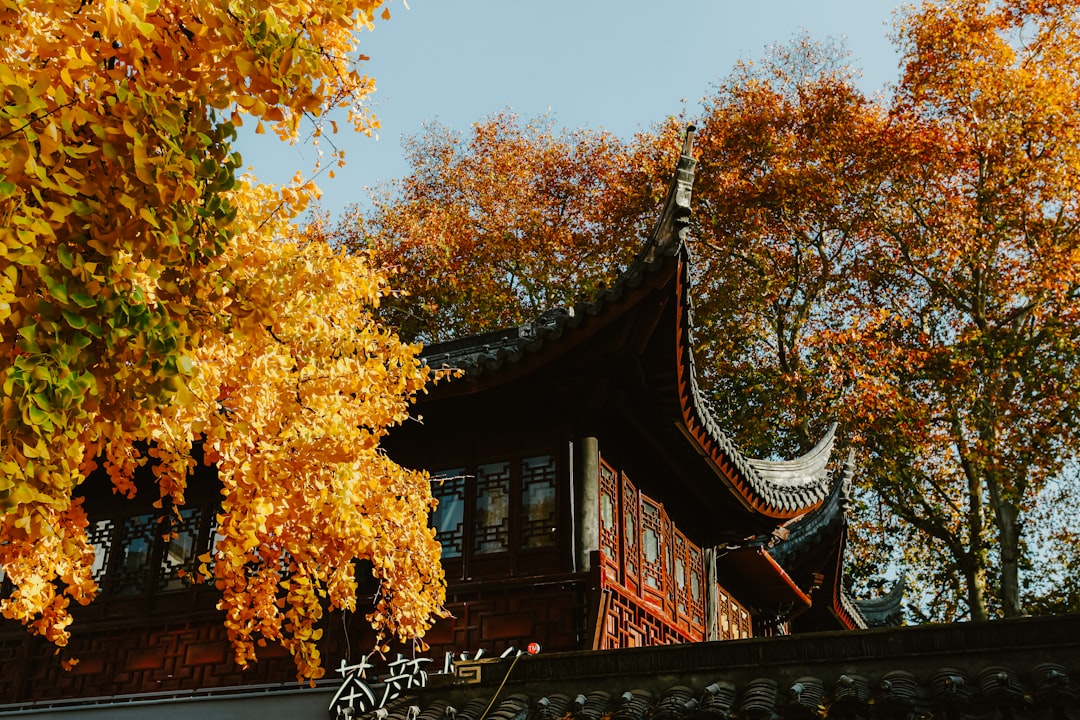eSIM for China 2026: Which Provider Is Actually Worth It?