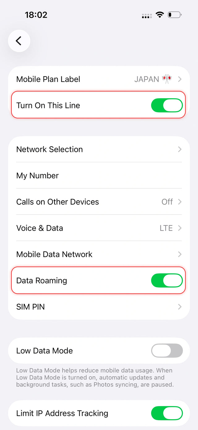 Turn on the line and Data Roaming